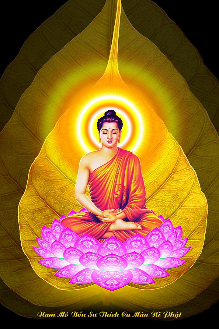 99+ Hình Phật Thích Ca, Hình Phật Tổ Như Lai Khổ Lớn Full Hd