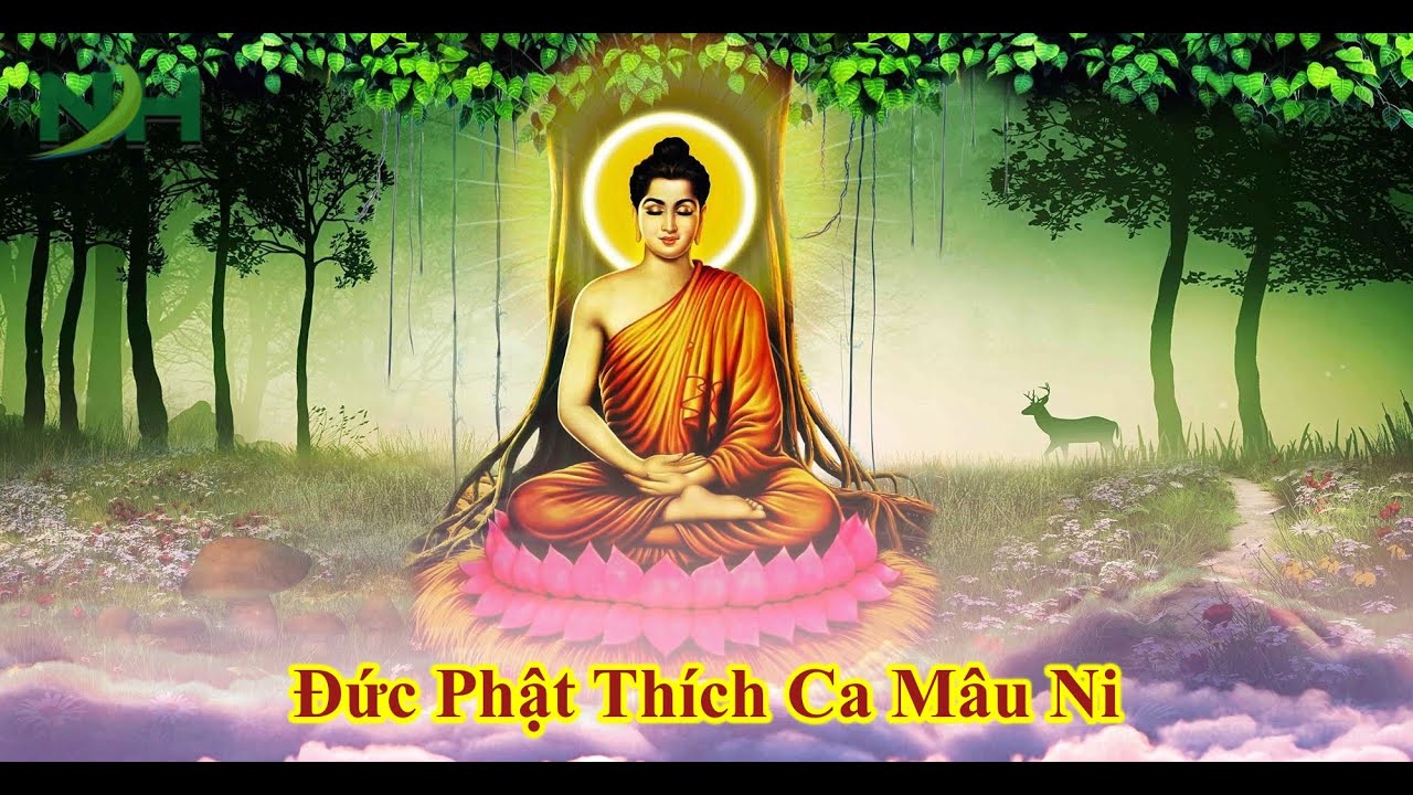 Đức Phật Thích Ca Mâu Ni – Những điều cần biết về Ngài 02