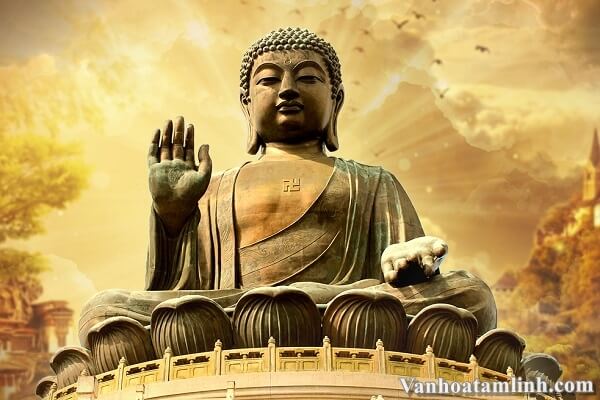 Hãy nhập vào thế giới yên bình của Phật A Di Đà và cảm nhận sự thanh tịnh trong tâm hồn. Xem hình ảnh và thực hành Namo A Di Đà Phật để đạt được sự an lạc trong cuộc sống.