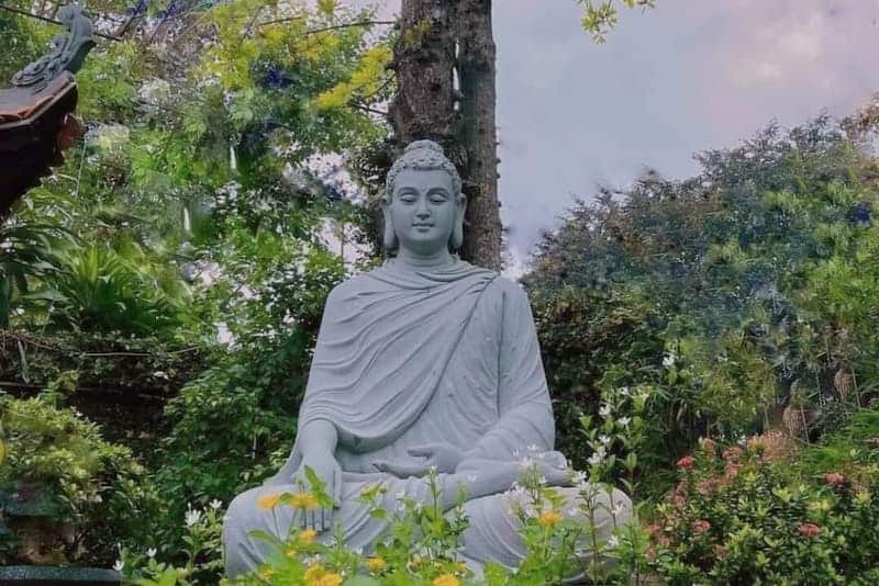 Cuộc đời Đức Phật Thích Ca Mâu Ni