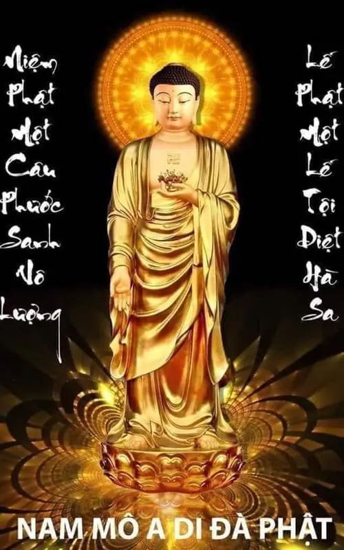 Hào quang nhiếp hộ người niệm Phật và Chánh niệm lúc lâm chung